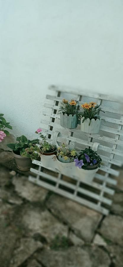 Apartment Silvija Vinišće Esterno foto